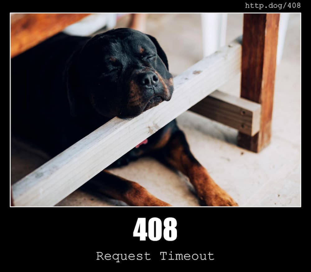 408 Request Timeout HTTP Status Code And Dogs 