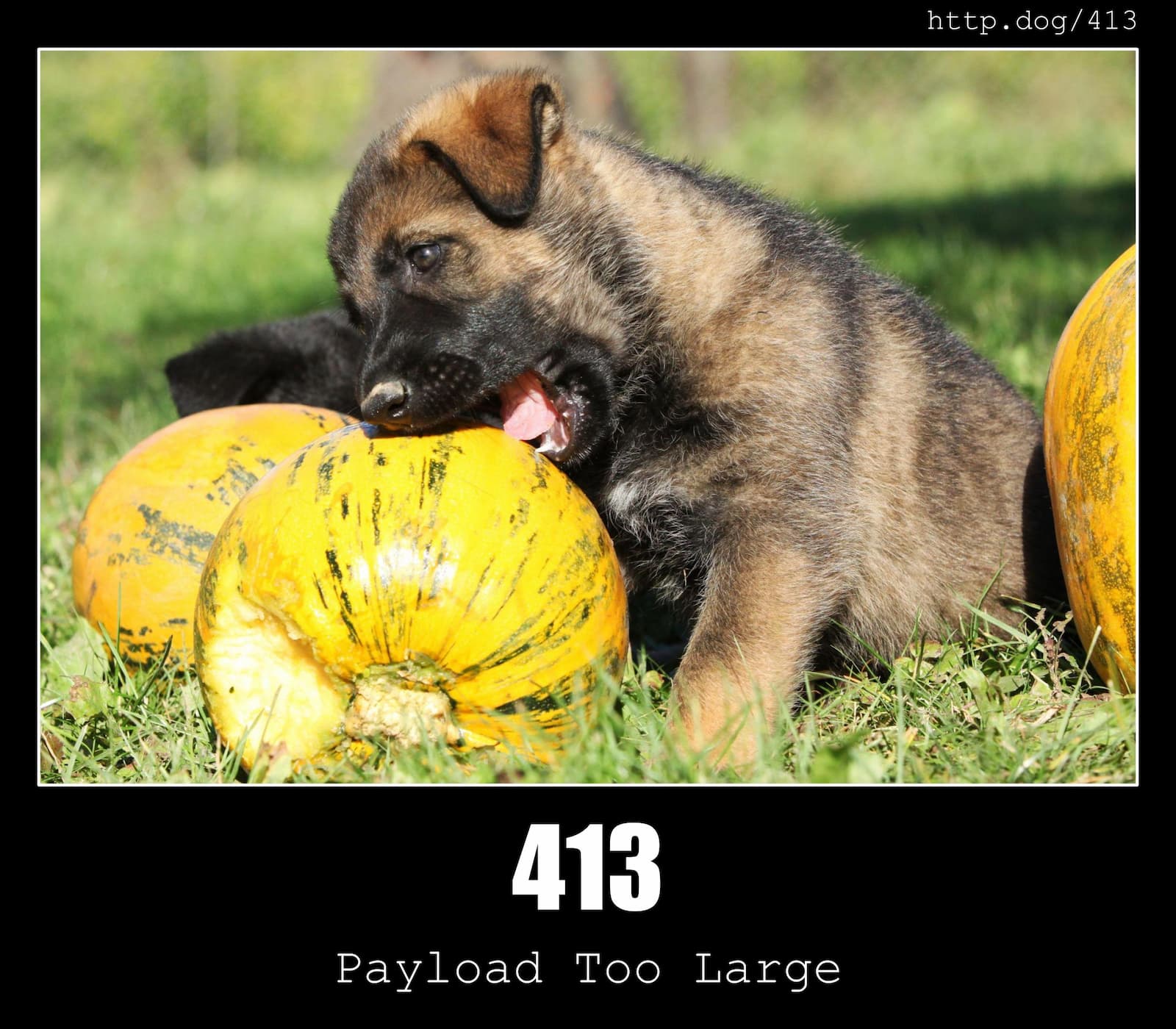 A puppy fails to take a bite out of a way too big fruit, with the text 413 Payload Too Large.