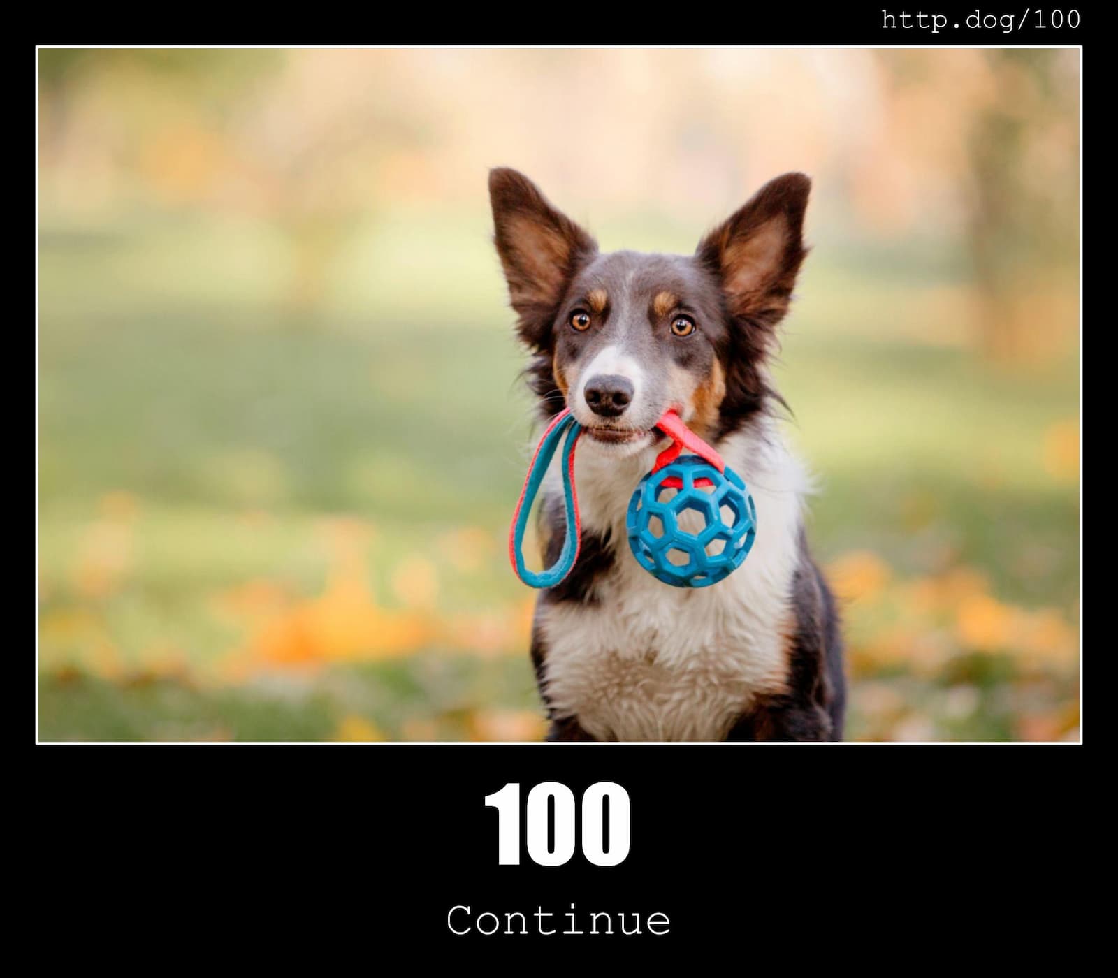 HTTP Status Code 100 Continue & Dogs