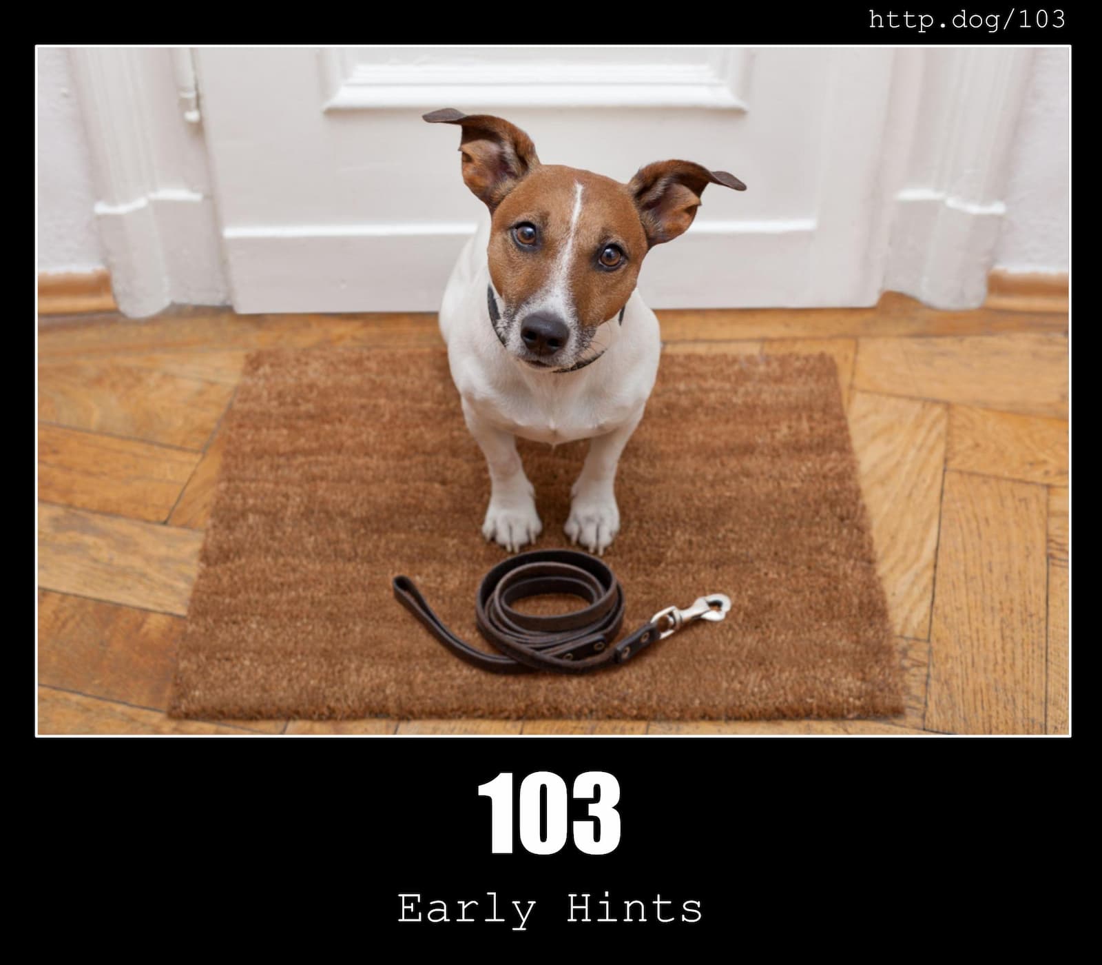 HTTP Status Code 103 Early Hints & Dogs