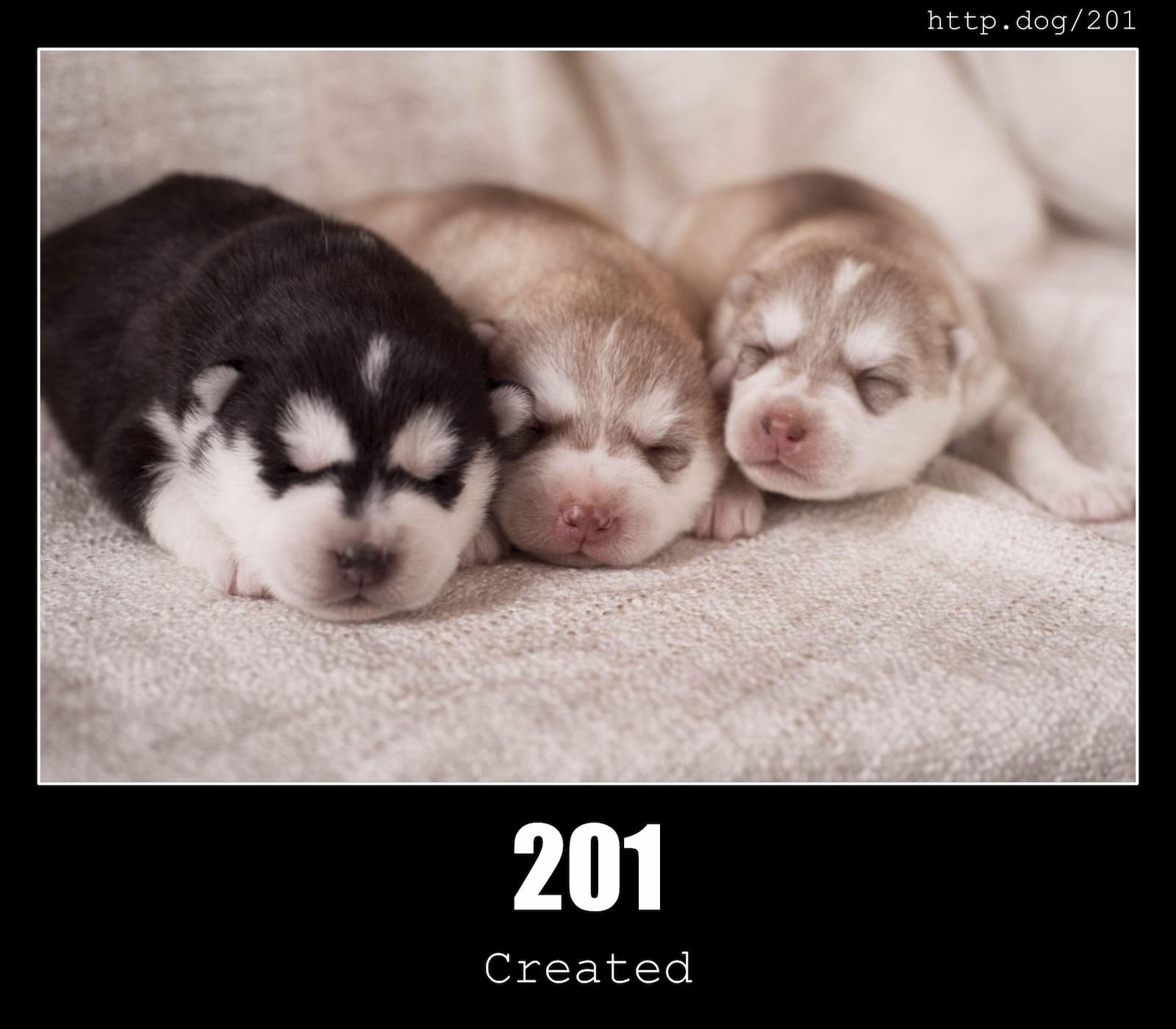 HTTP Status Code 201 Created & Dogs