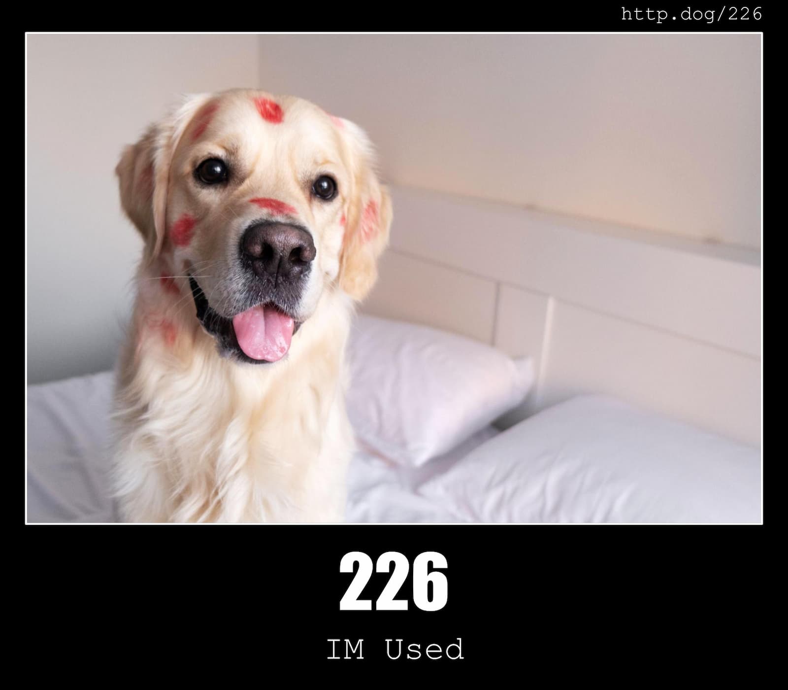 HTTP Status Code 226 IM Used & Dogs
