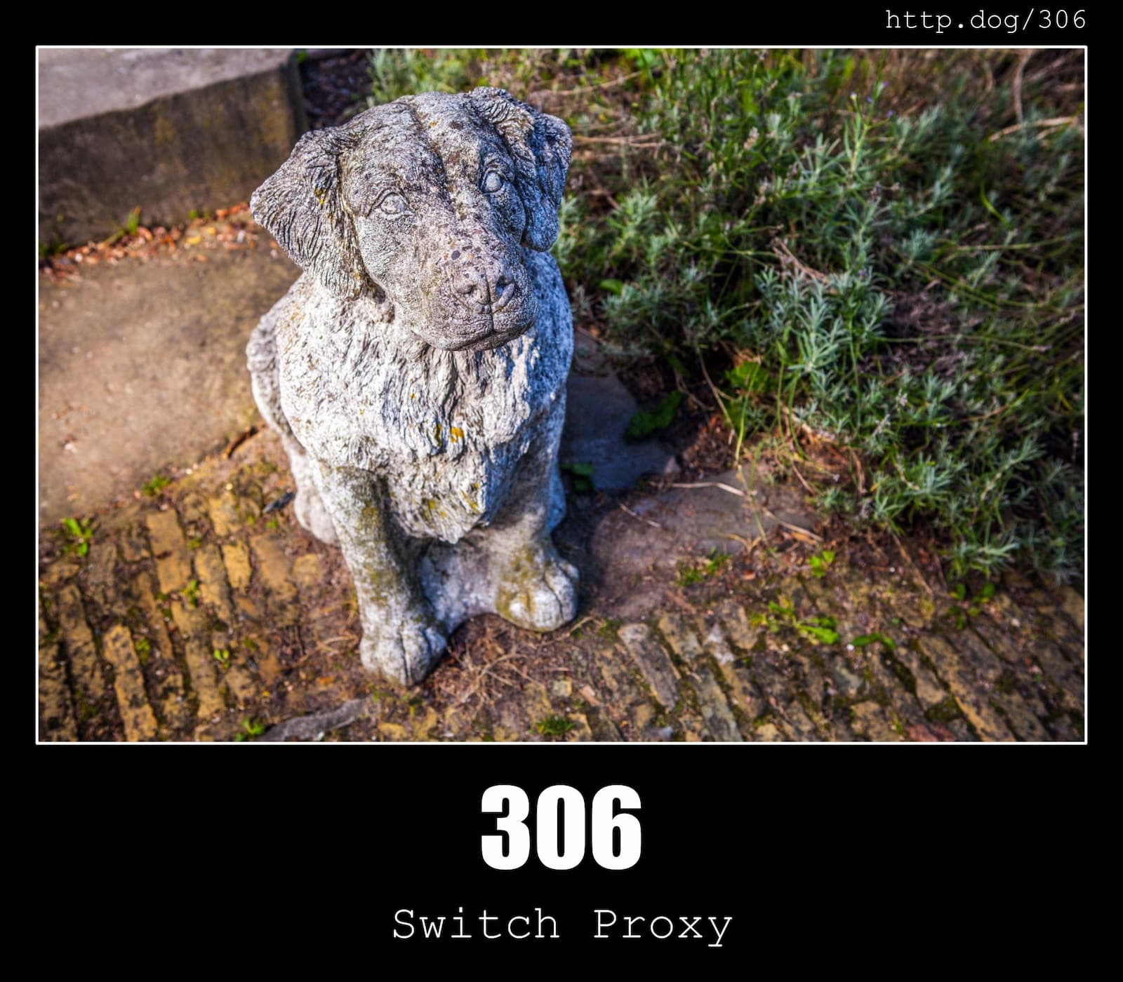 HTTP Status Code 306 Switch Proxy & Dogs