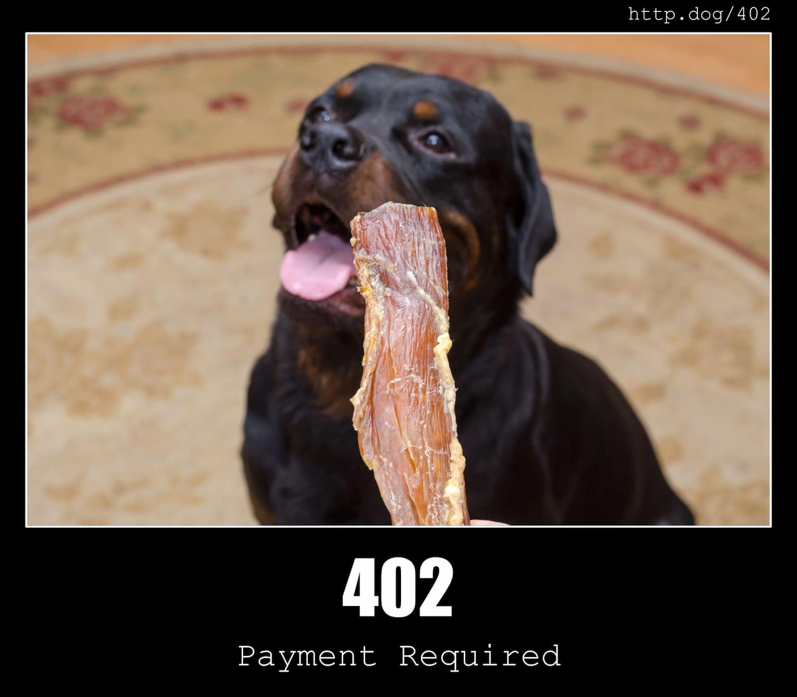 HTTP Status Code 402 Payment Required & Dogs