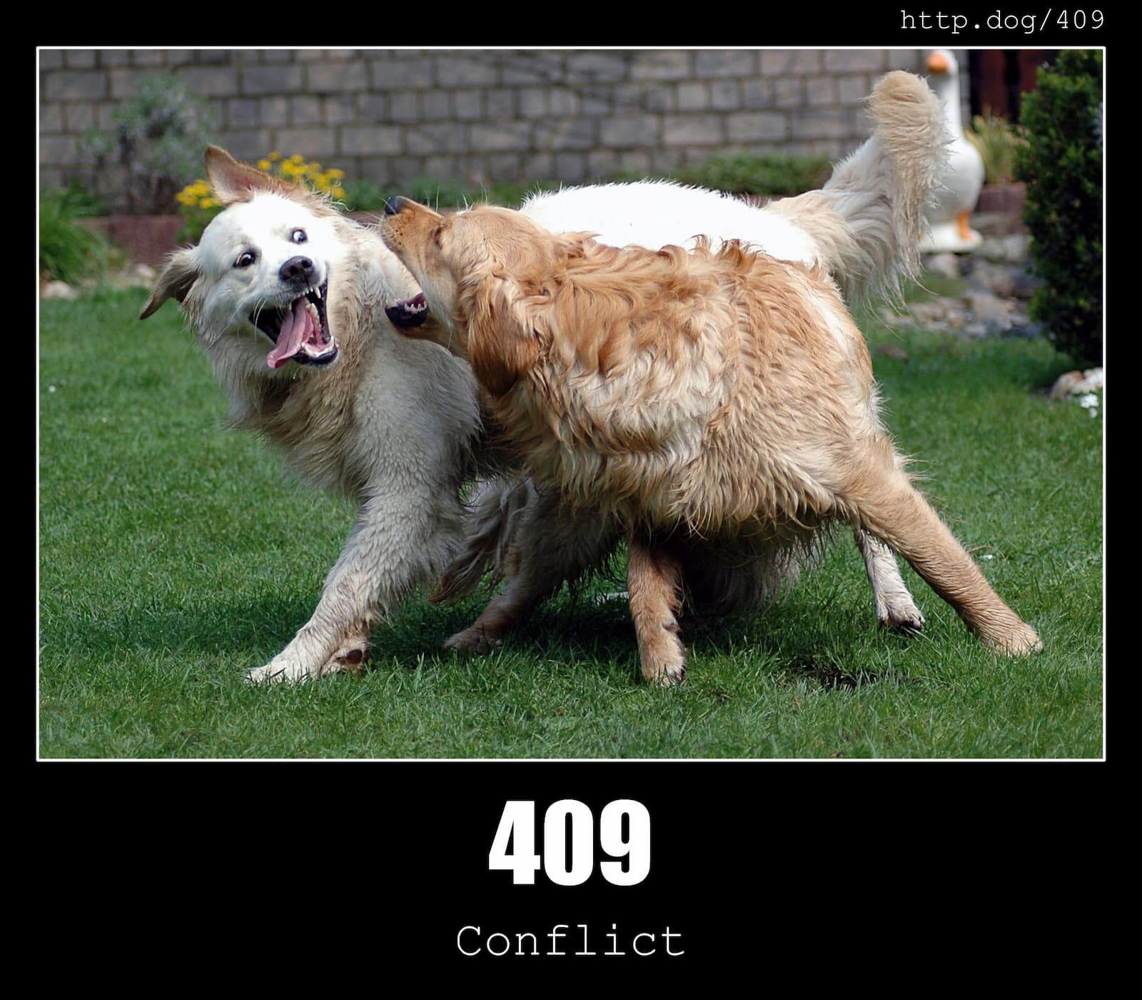 HTTP Status Code 409 Conflict & Dogs