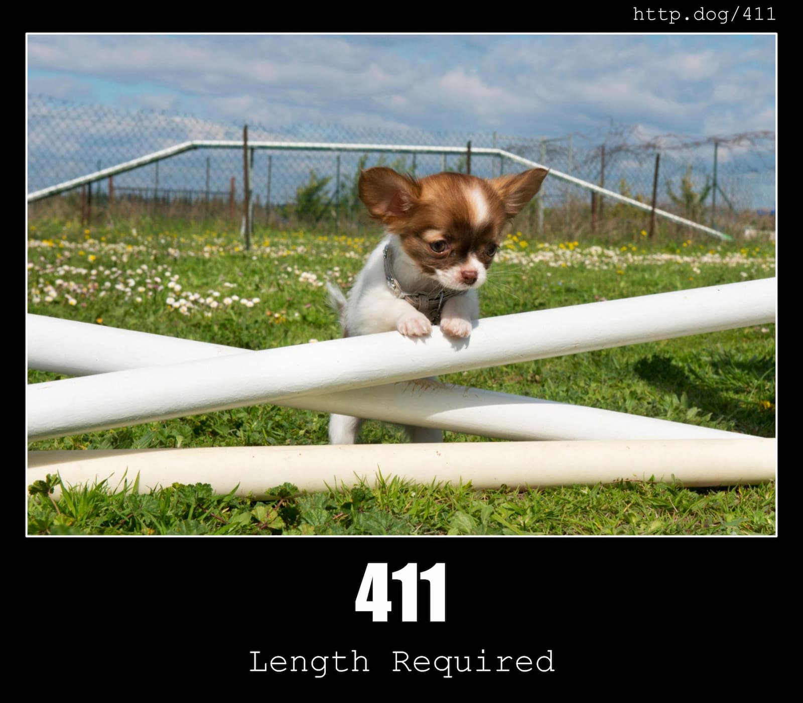 HTTP Status Code 411 Length Required & Dogs