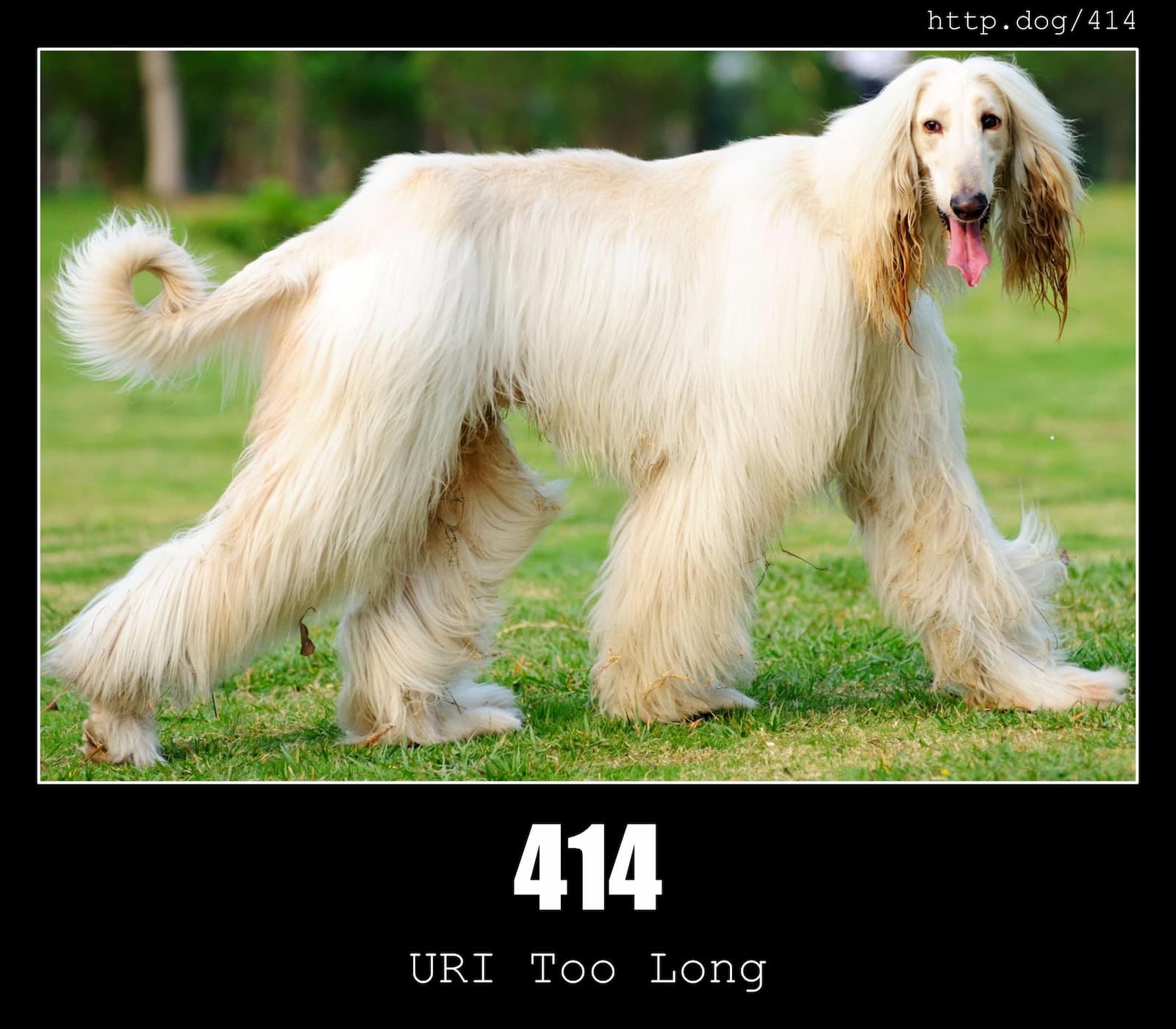 HTTP Status Code 414 URI Too Long & Dogs