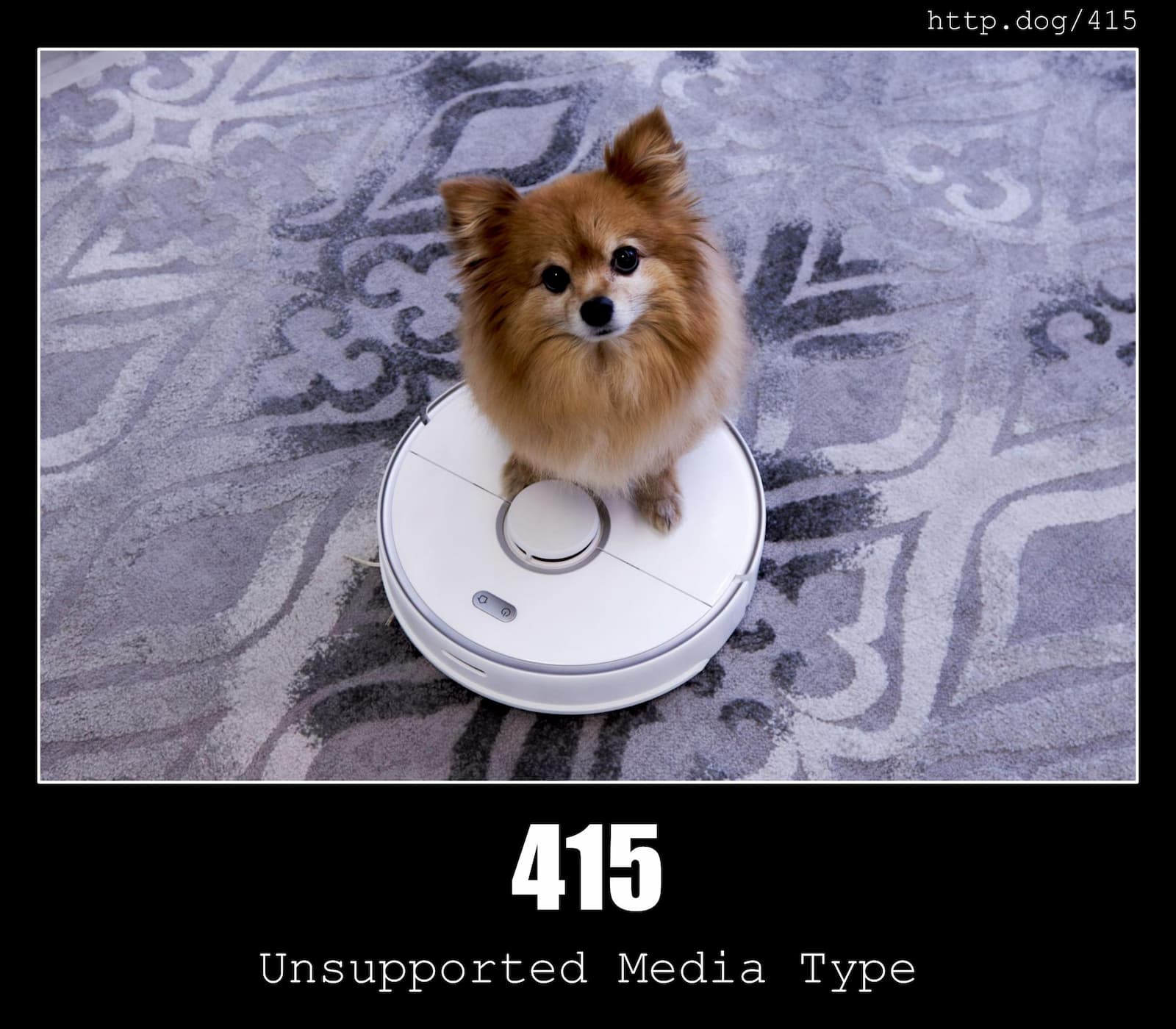 HTTP Status Code 415 Unsupported Media Type & Dogs