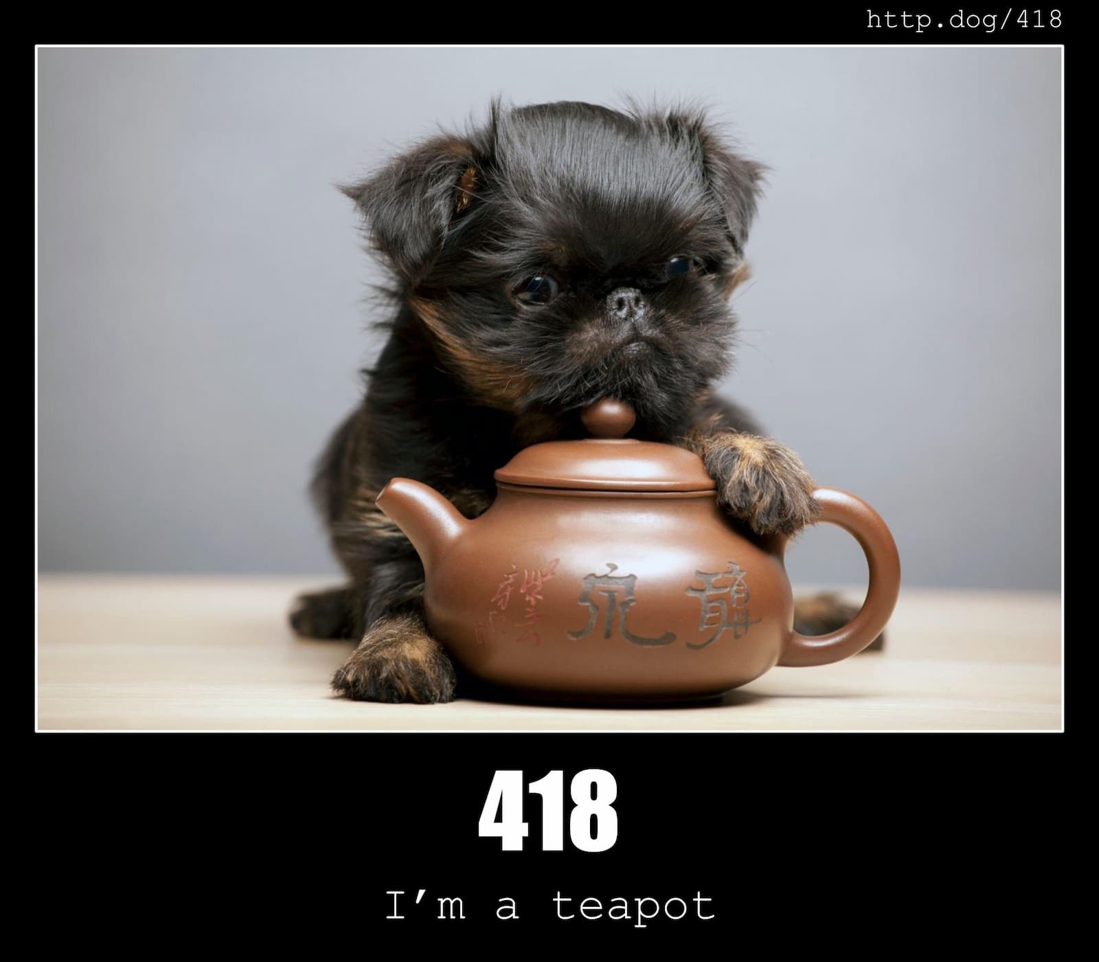 HTTP Status Code 418 I'm a teapot