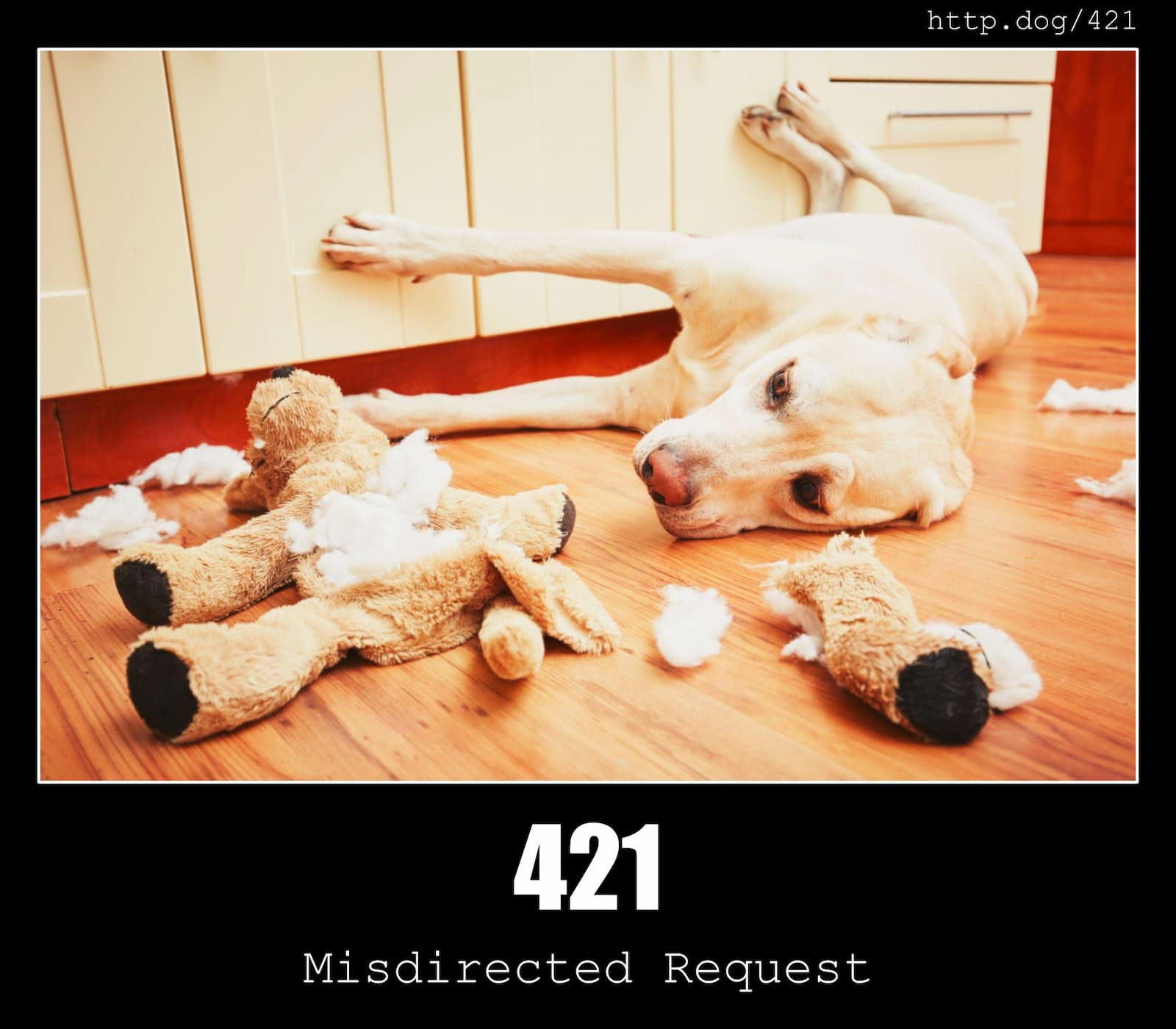 HTTP Status Code 421 Misdirected Request & Dogs