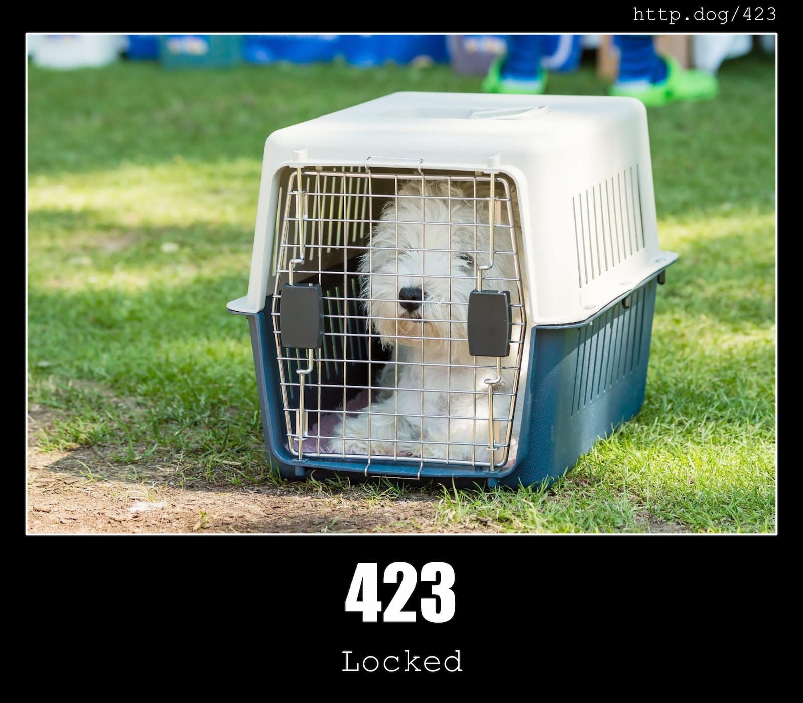 HTTP Status Code 423 Locked & Dogs