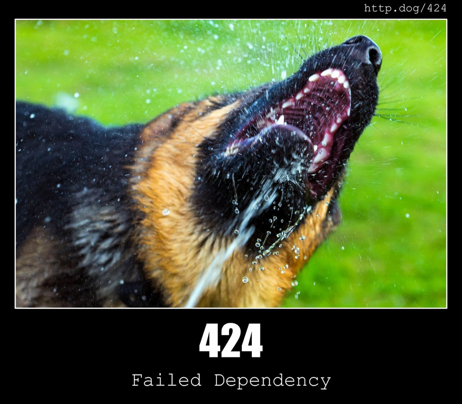 HTTP Status Code 424 Failed Dependency