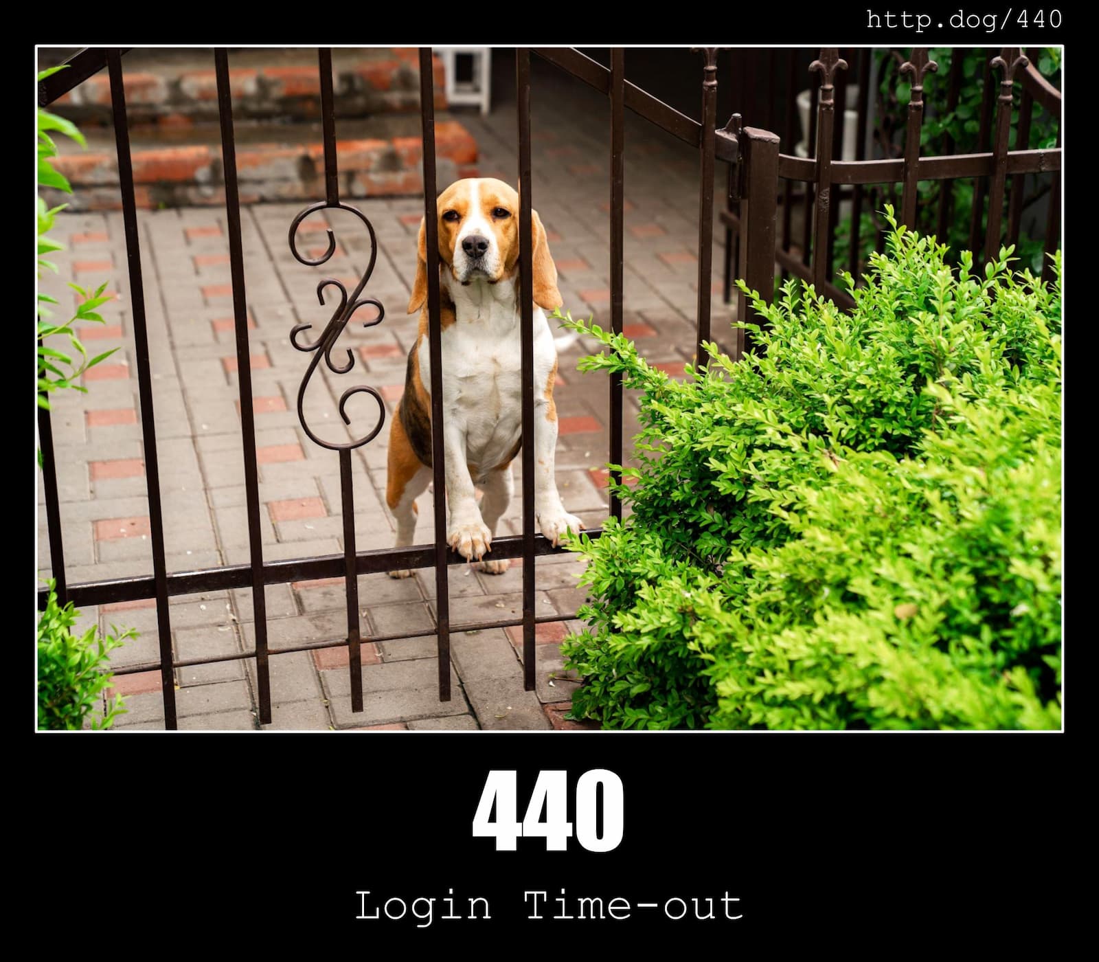 HTTP Status Code 440 Login Time-out & Dogs