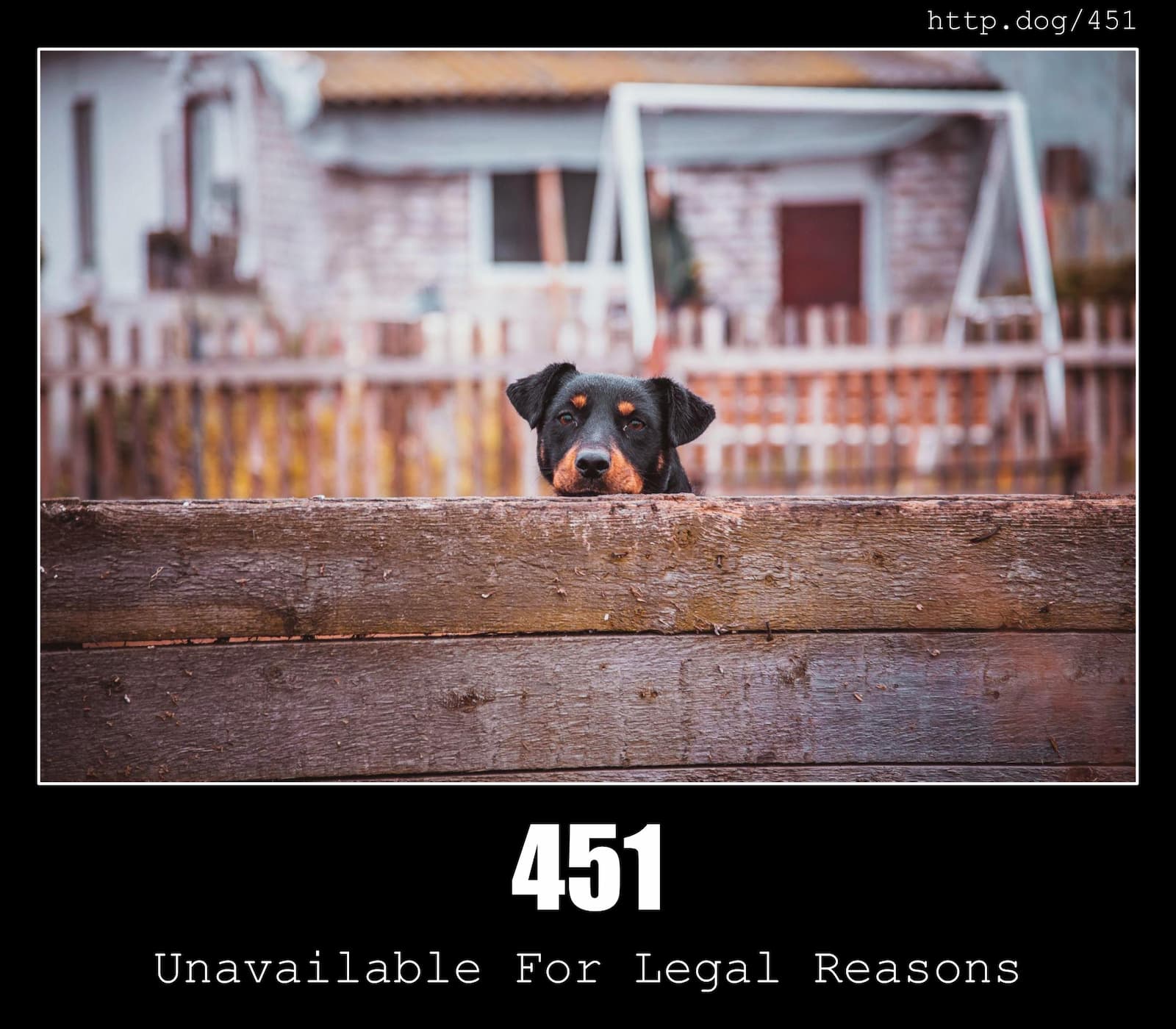 HTTP Status Code 451 Unavailable For Legal Reasons & Dogs