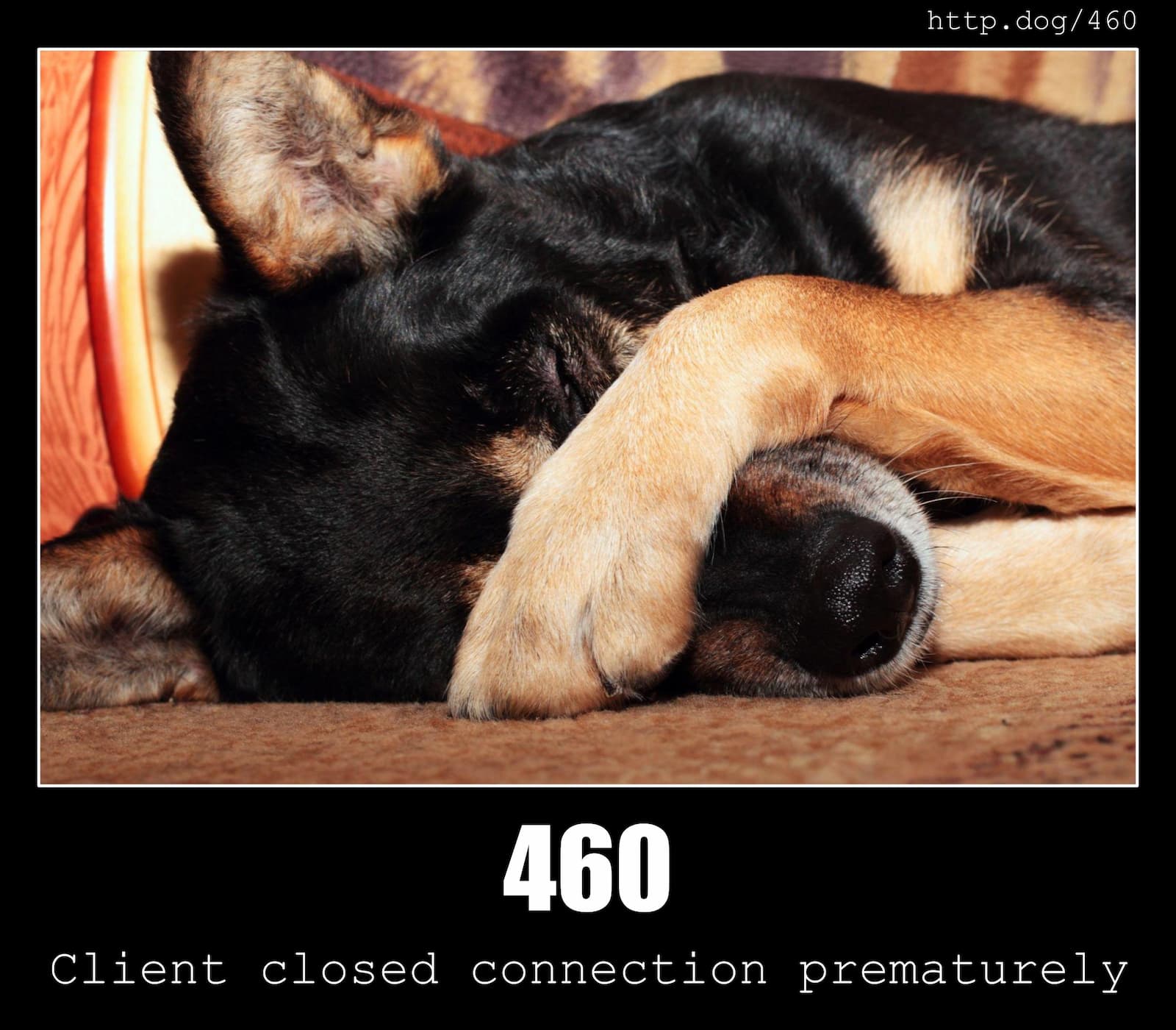HTTP Status Code 460 Client closed connection prematurely & Dogs