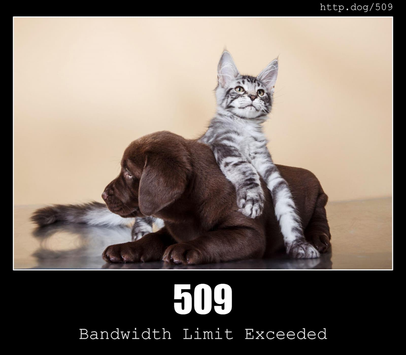 HTTP Status Code 509 Bandwidth Limit Exceeded
