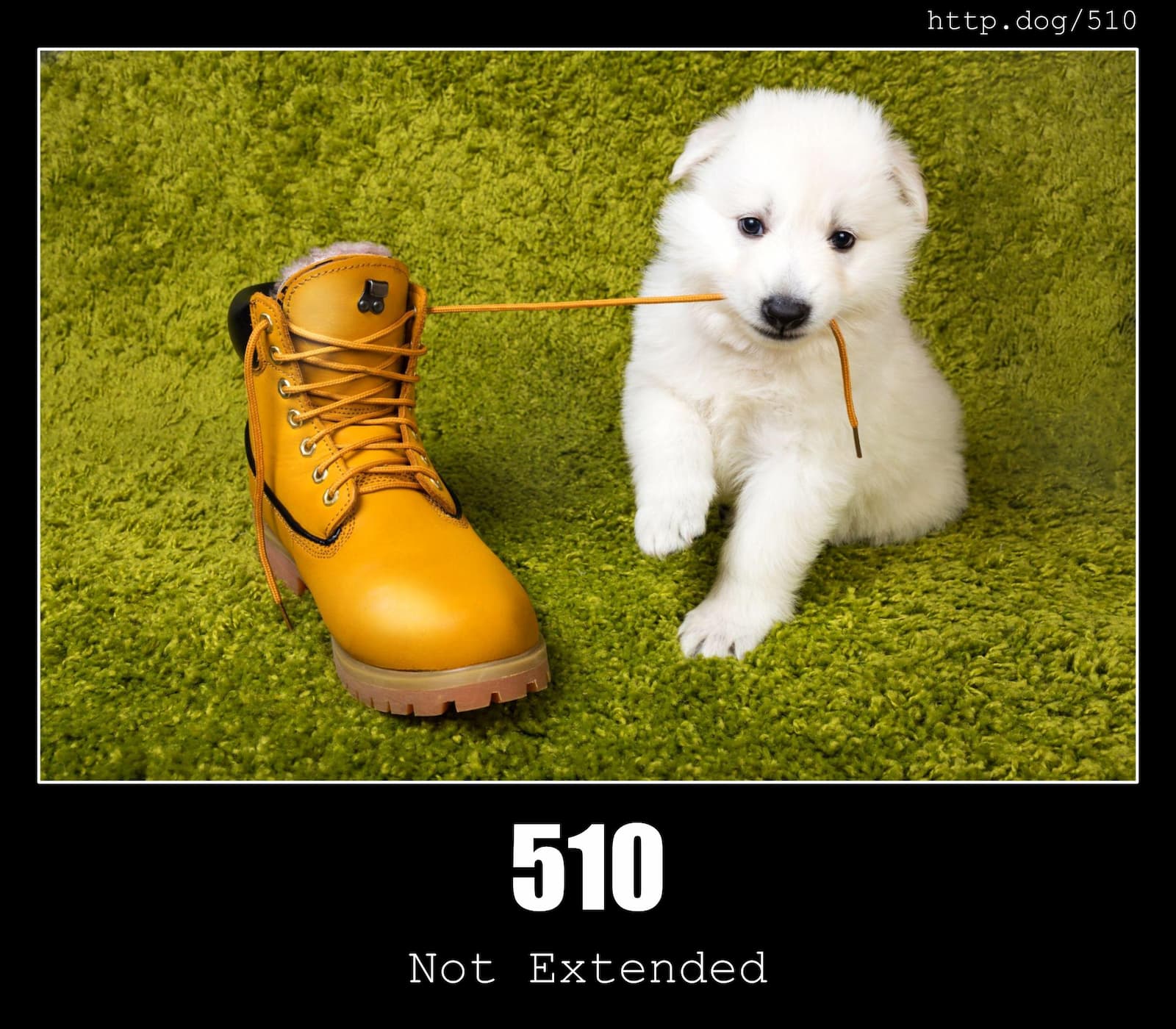 HTTP Status Code 510 Not Extended & Dogs