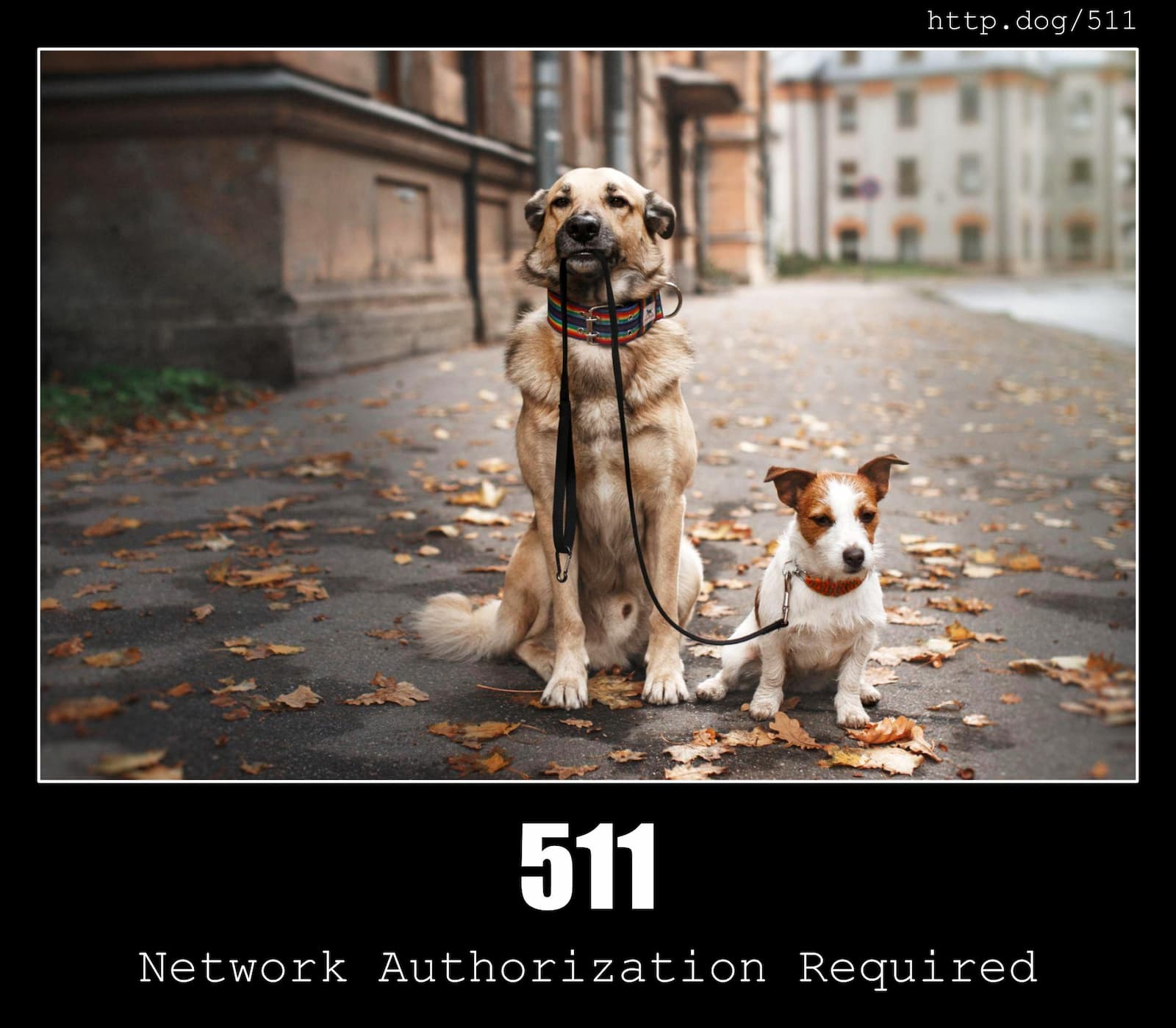 HTTP Status Code 511 Network Authentication Required & Dogs