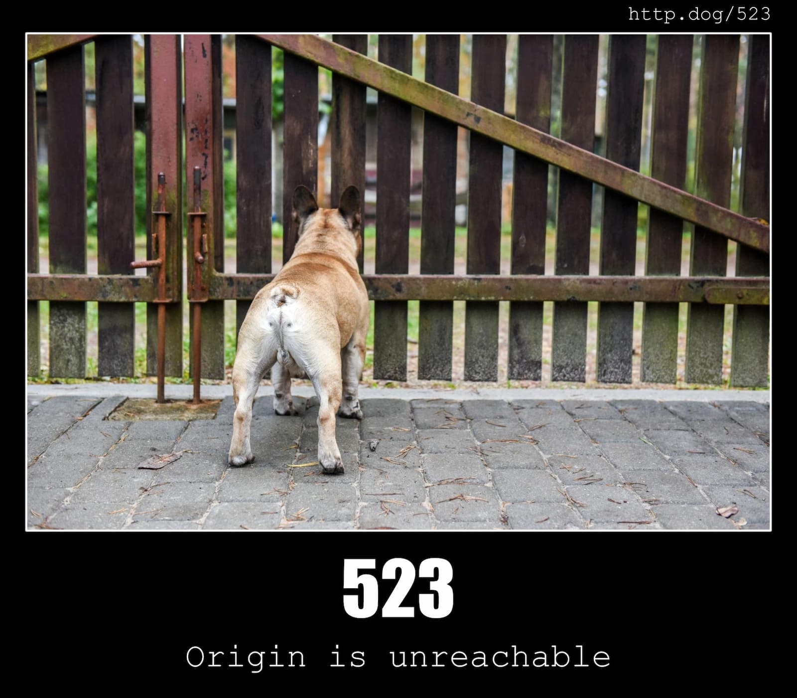 HTTP Status Code 523 Origin is unreachable & Dogs
