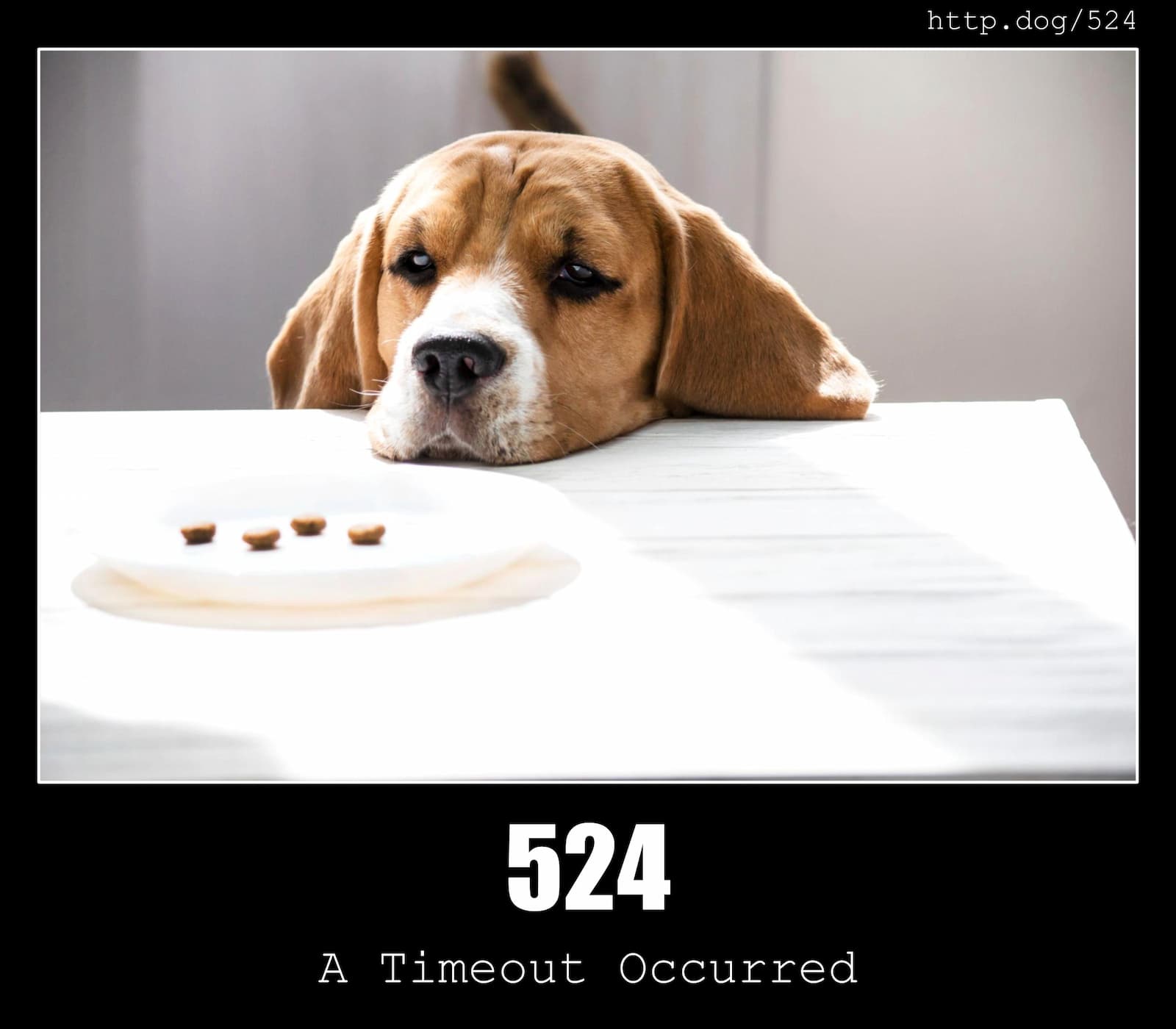 HTTP Status Code 524 A Timeout Occurred & Dogs