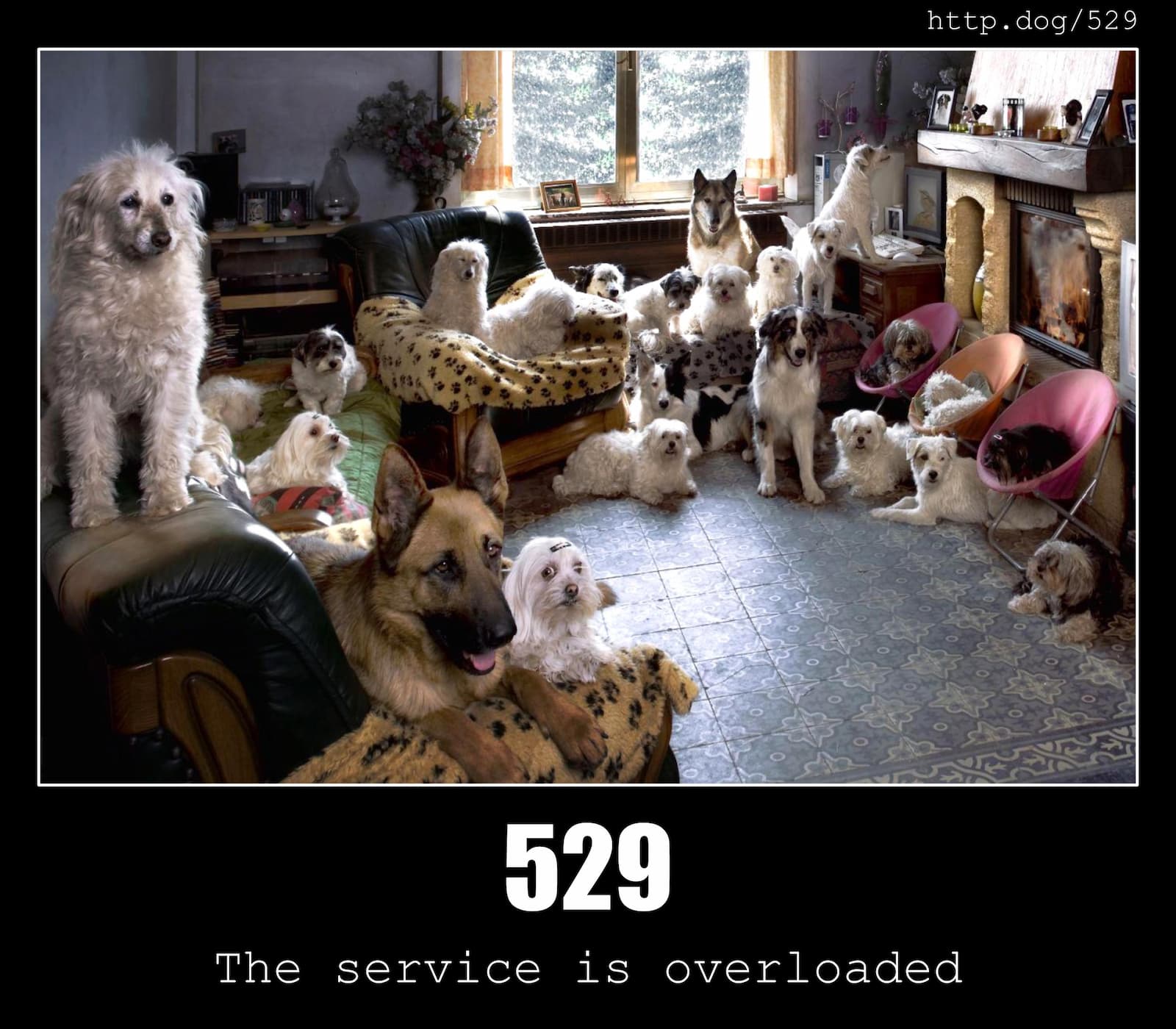 HTTP Status Code 529 The service is overloaded & Dogs
