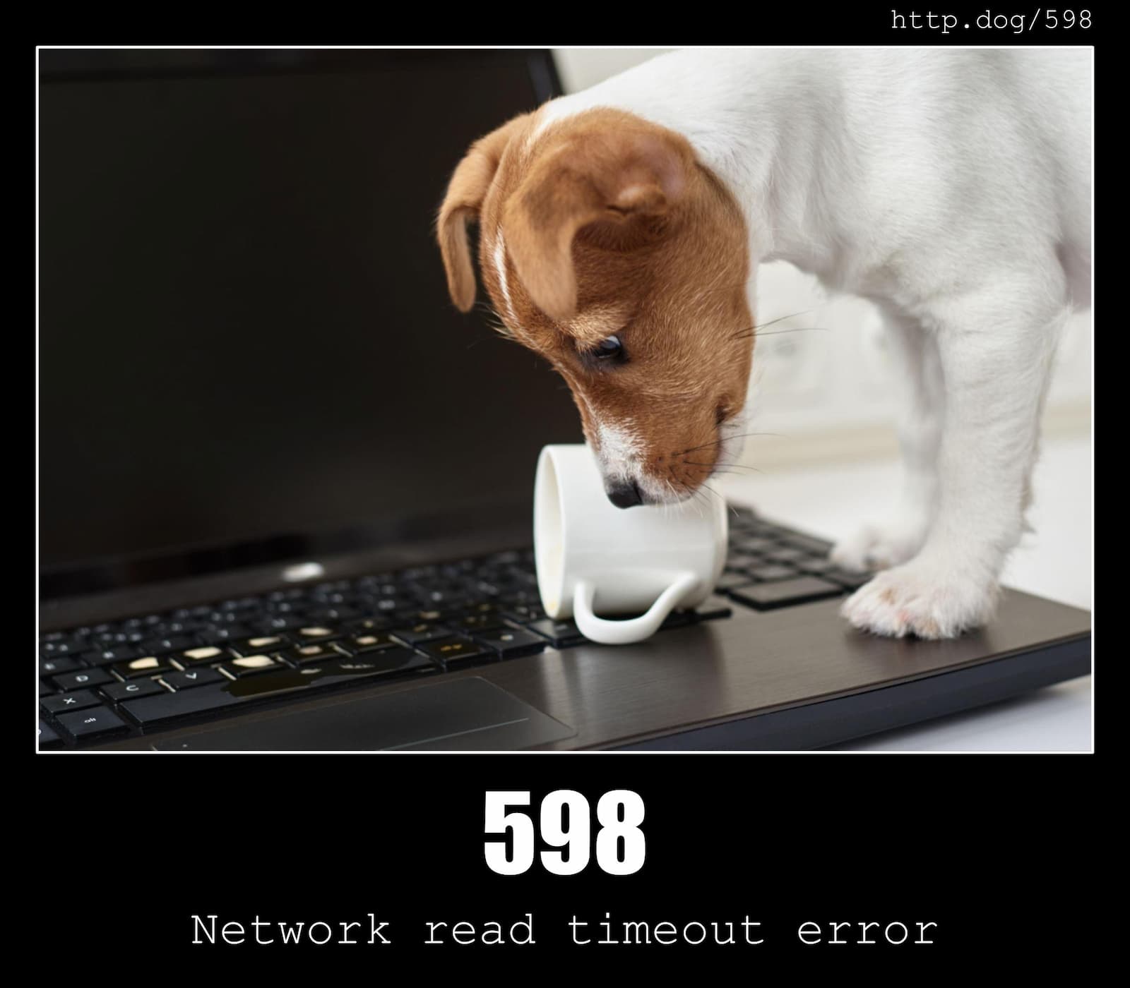 HTTP Status Code 598 Network read timeout error & Dogs