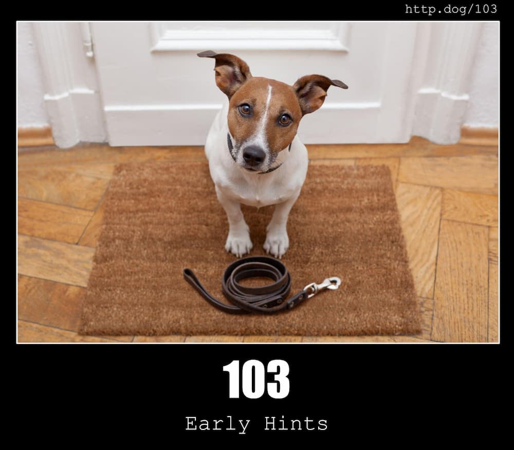 103-early-hints-http-status-code-and-dogs