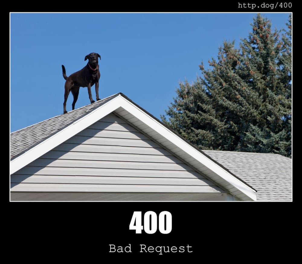 400-bad-request-http-status-code-and-dogs