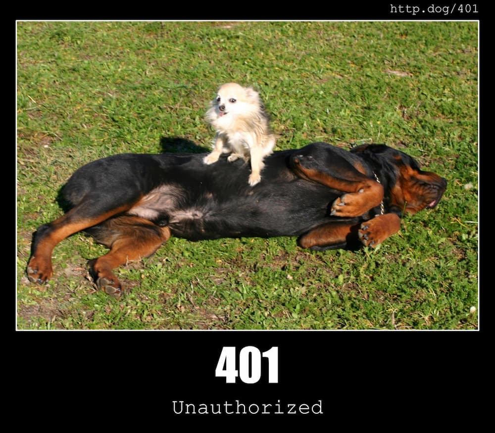 401 Unauthorized HTTP Status Code And Dogs 401 Unauthorized HTTP Status Code And Dogs