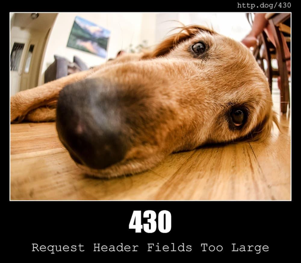 430 Request Header Fields Too Large - HTTP status code and dogs!
