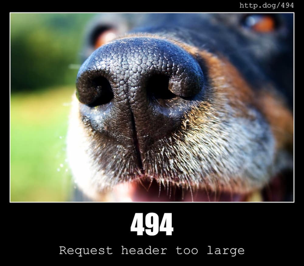 HTTP Status Dogs API - A dog image for every HTTP Status Code