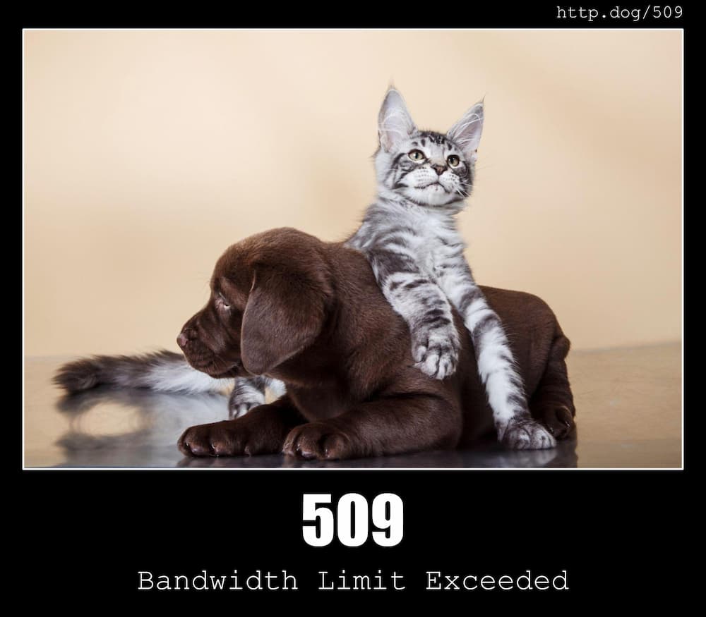 HTTP Status Dogs API - A dog image for every HTTP Status Code