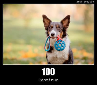 100 Continue & Dogs