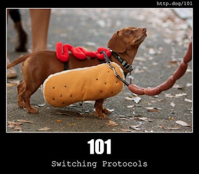 101 Switching Protocols & Dogs