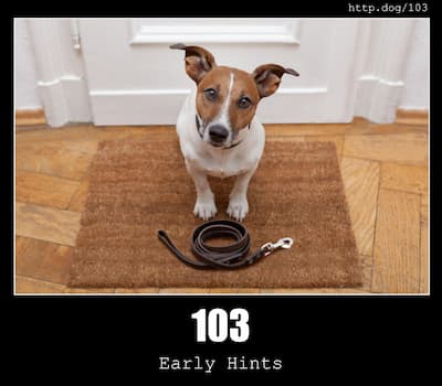 103 Early Hints & Dogs
