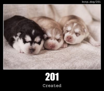 201 Created & Dogs