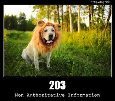 203 Non-Authoritative Information & Dogs