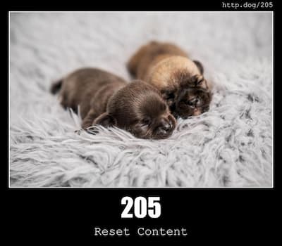 205 Reset Content & Dogs