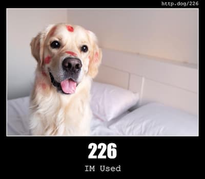 226 IM Used & Dogs