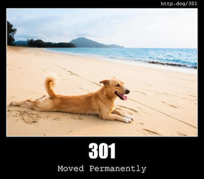 301 Moved Permanently & Dogs