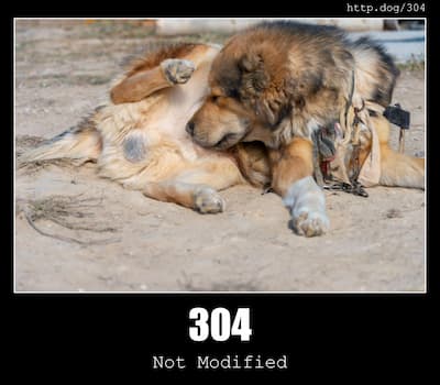 304 Not Modified & Dogs