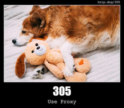 305 Use Proxy & Dogs