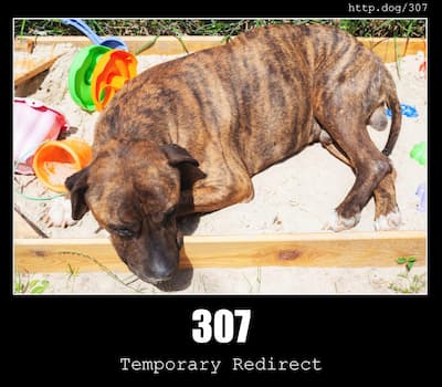 307 Temporary Redirect & Dogs