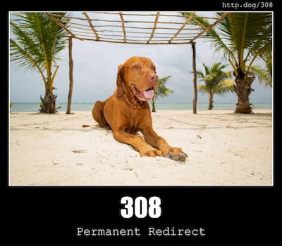 308 Permanent Redirect & Dogs