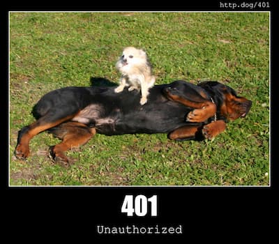 401 Unauthorized & Dogs