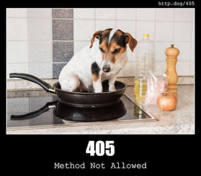 405 Method Not Allowed & Dogs