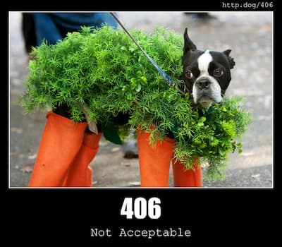 406 Not Acceptable & Dogs