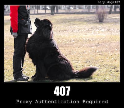 407 Proxy Authentication Required & Dogs