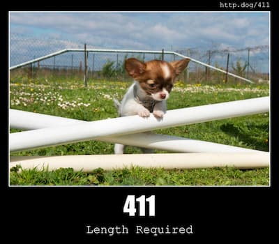 411 Length Required & Dogs