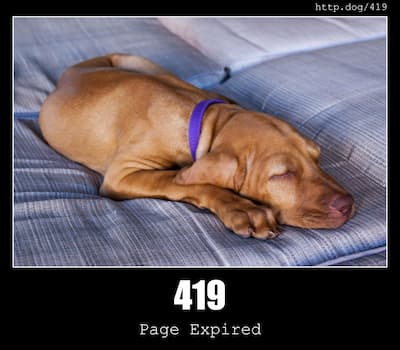 419 Page Expired & Dogs